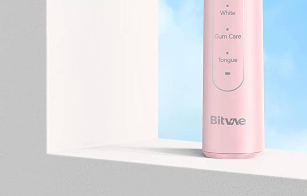 BITVAE/R2-Pinkheadscase/3